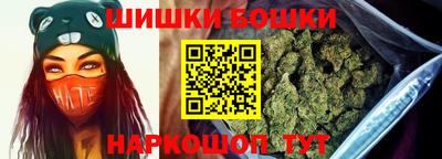 спайс Кингисепп