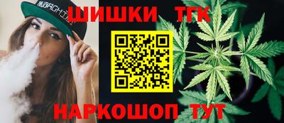 спайс Кингисепп