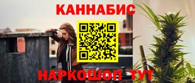 спайс Кингисепп