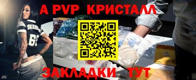 спайс Кингисепп