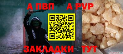 спайс Кингисепп